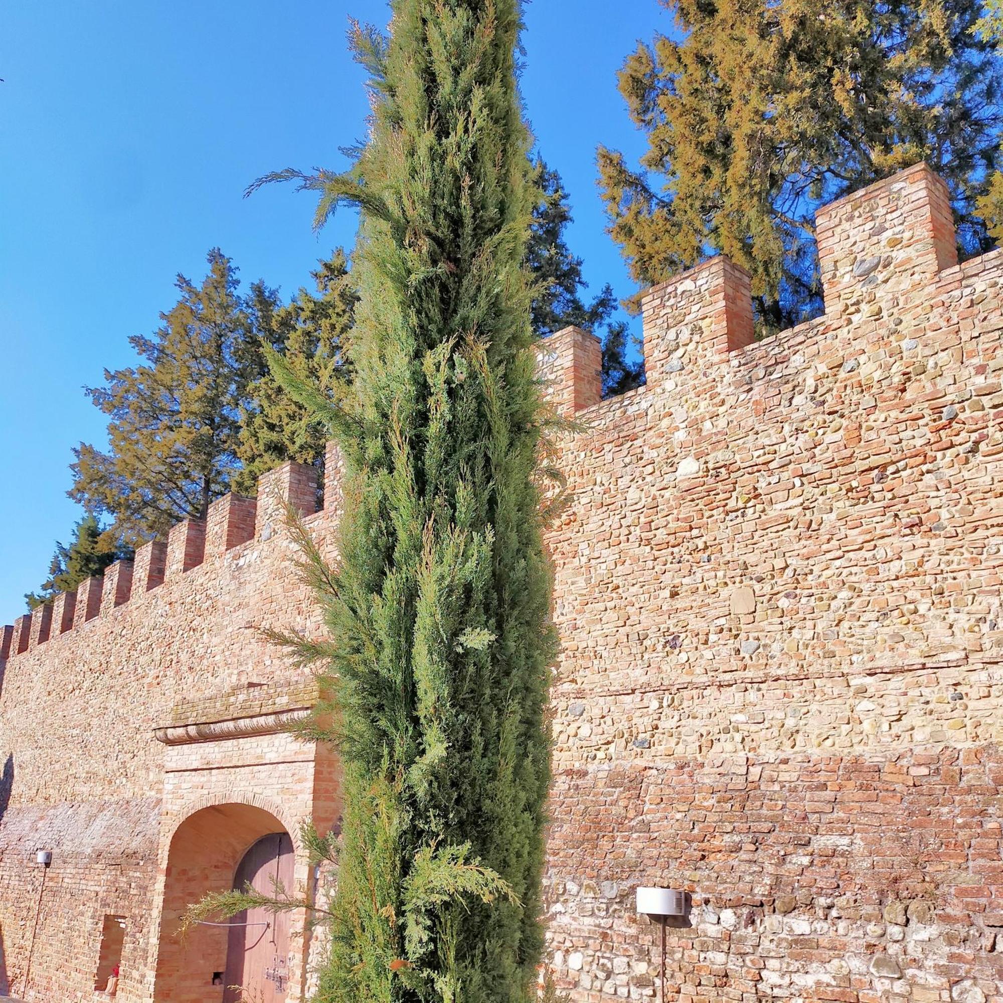 체르탈도 Palazzo Stiozzi Ridolfi 아파트 외부 사진